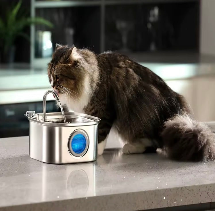 Fontaine ZenFlow™ Inox pour Chat